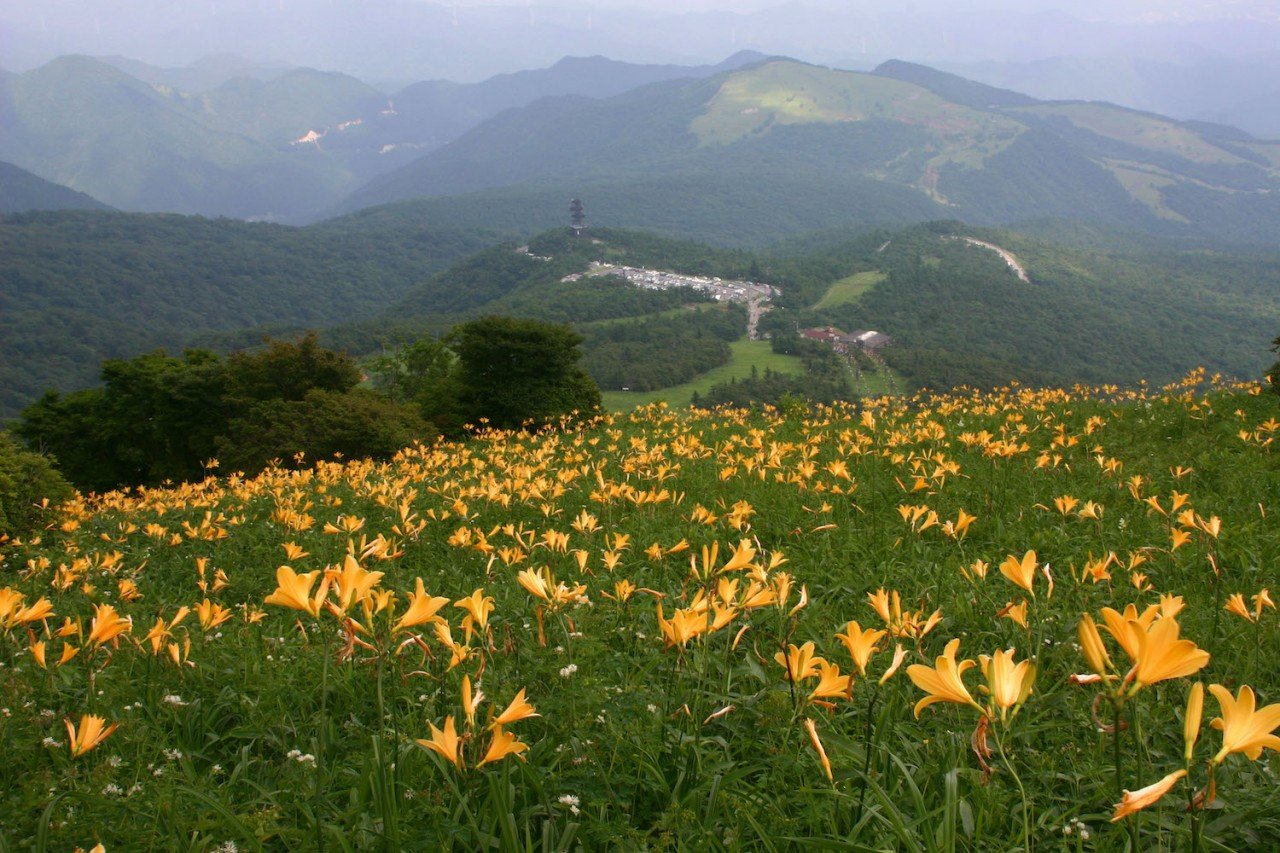 🏞️ 키스게 평원(키스게다이라엔치) 이미지 4